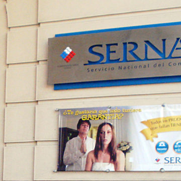 sernac – tribunal constitucional